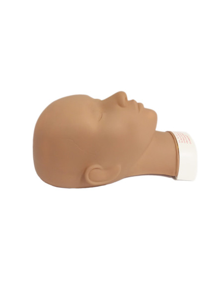 Flatback Head - Tan Closed-Eye